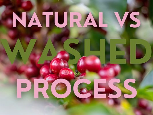 Natural vs Washed Process