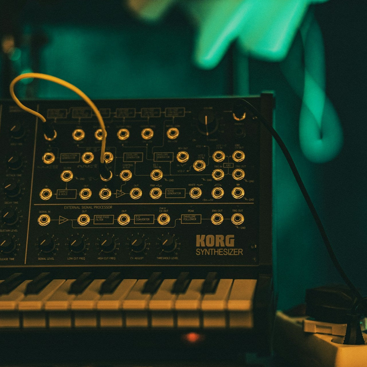 Tropical Fusion, Colombian: (Medium Roast) | LIMITED RUN