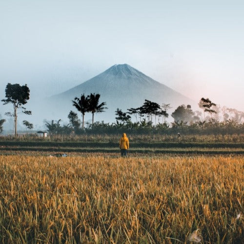 indonesian mountain with person in the distance