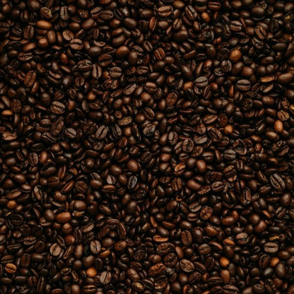 Octave "Rock" Single Origin, Guatemala (Medium Roast) - Octave Coffee Co.