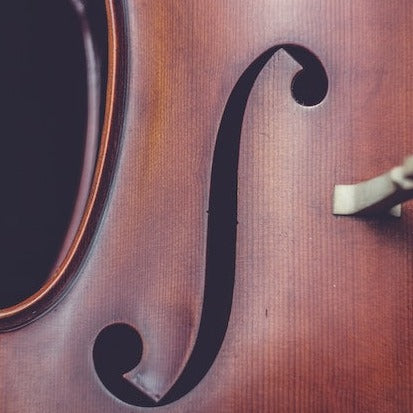 partial shot of a violin