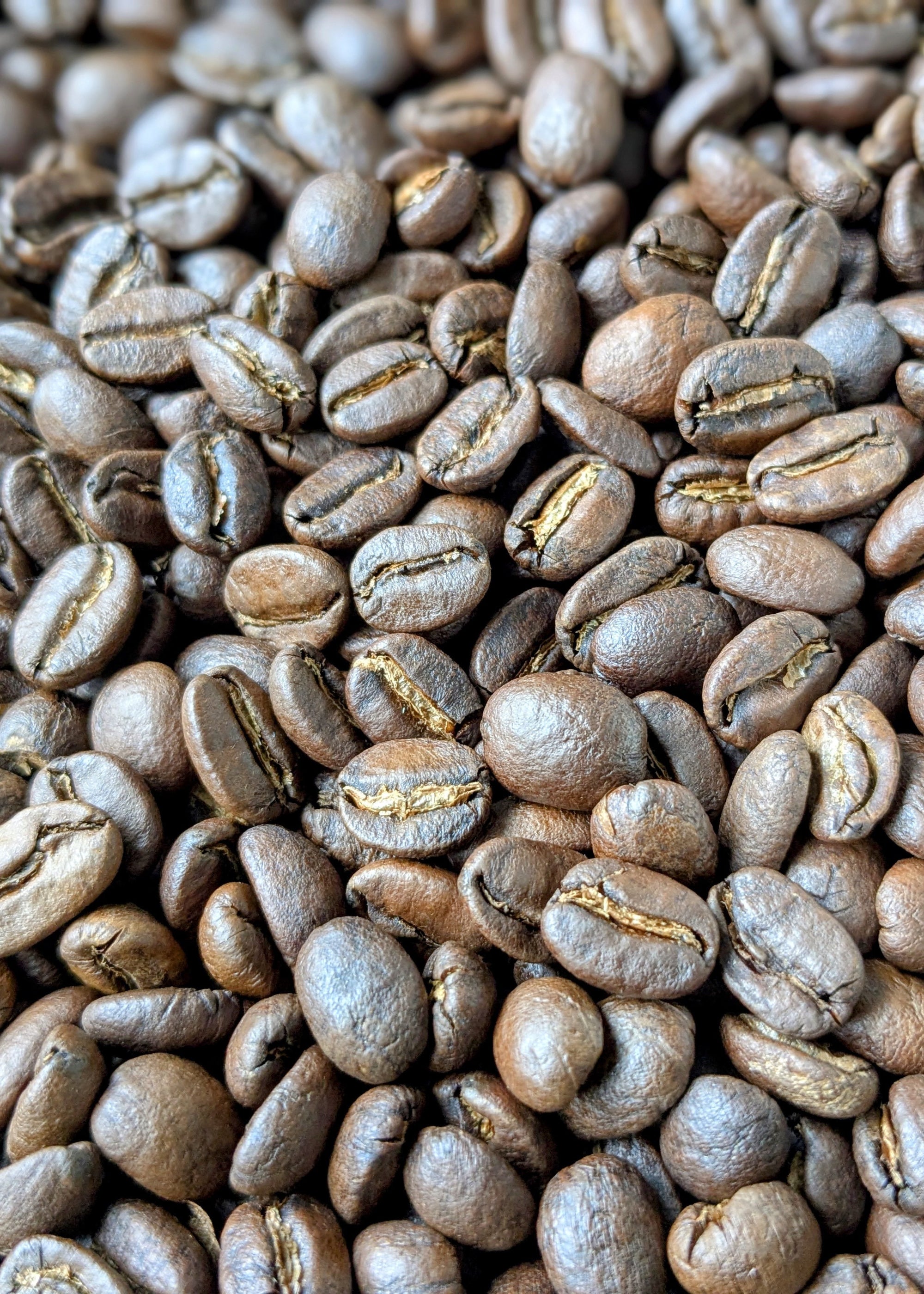 "Jazz Fusion" - Peruvian (Medium Roast): Citrus, Chocolate and a Clean, Floral Finish