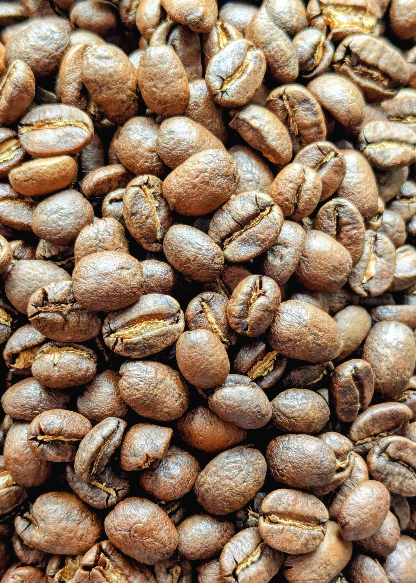 Close-up of roasted coffee beans