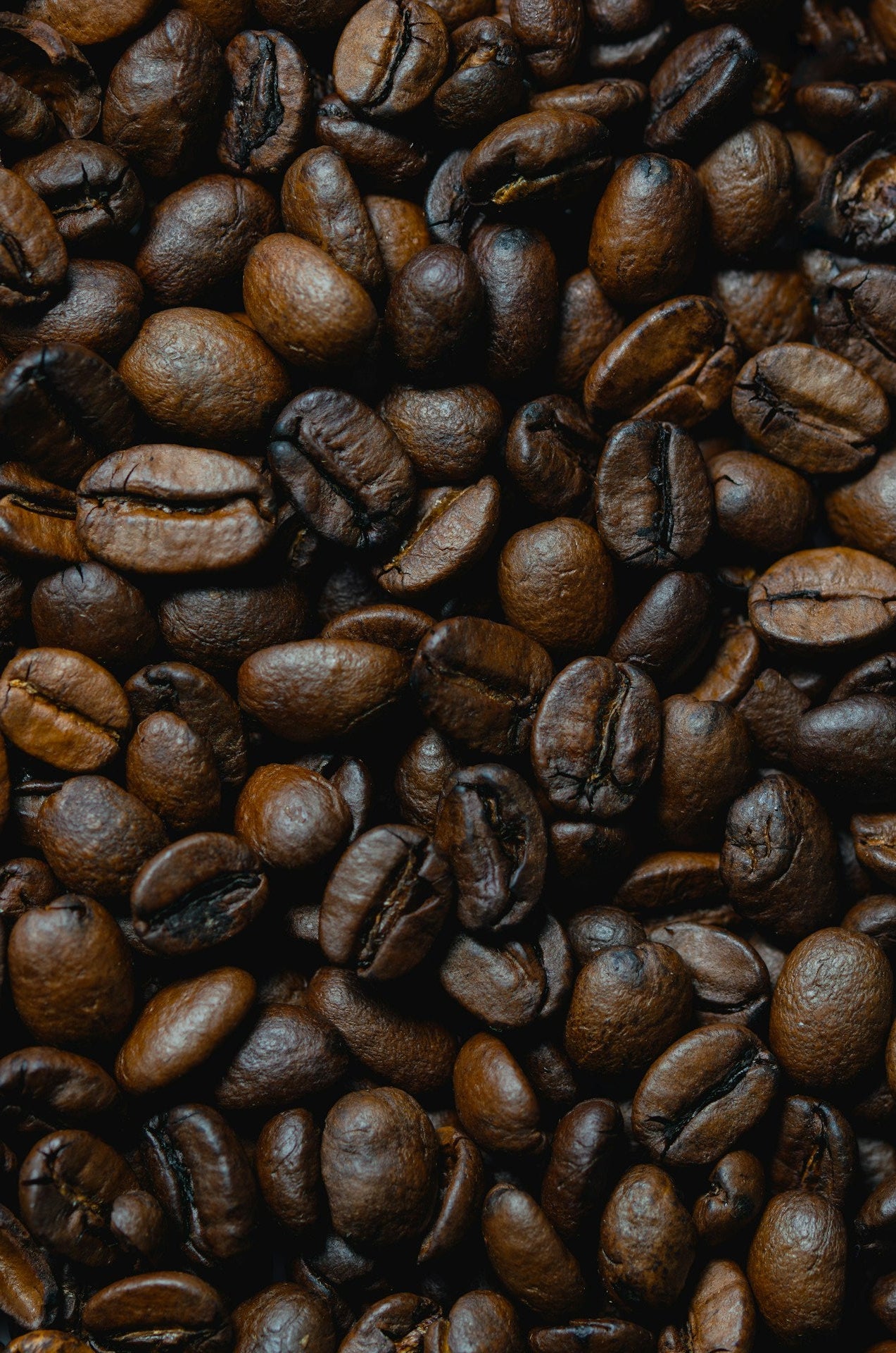 Close-up of roasted coffee beans