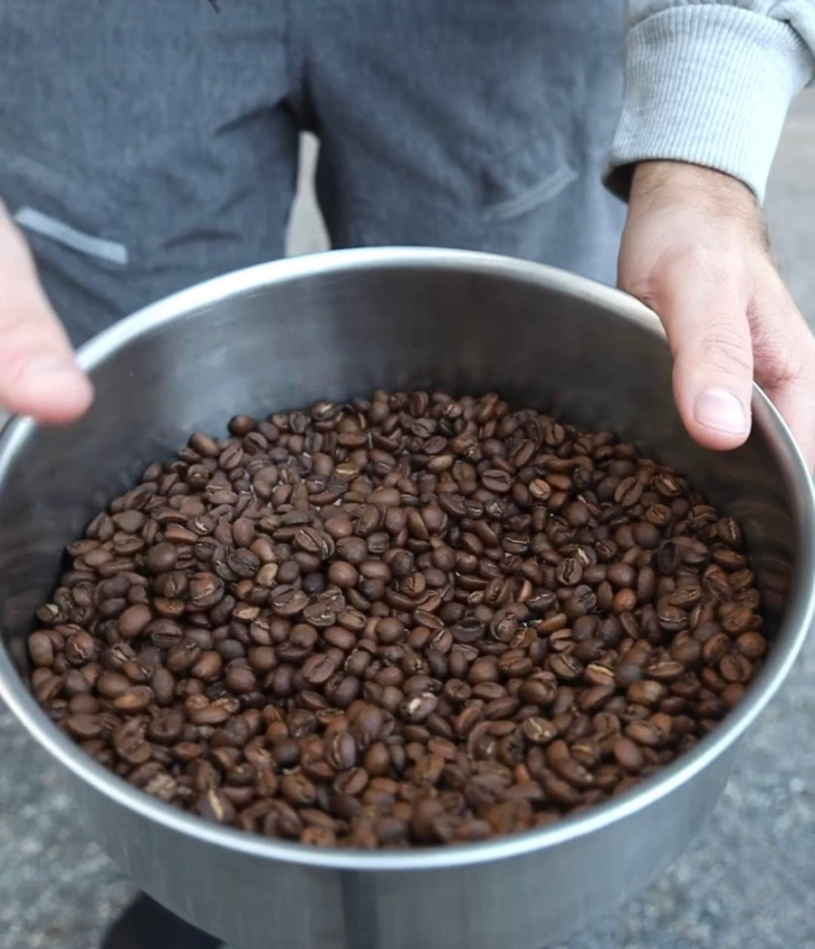 Person holding a metal bowl filled with coffee beans