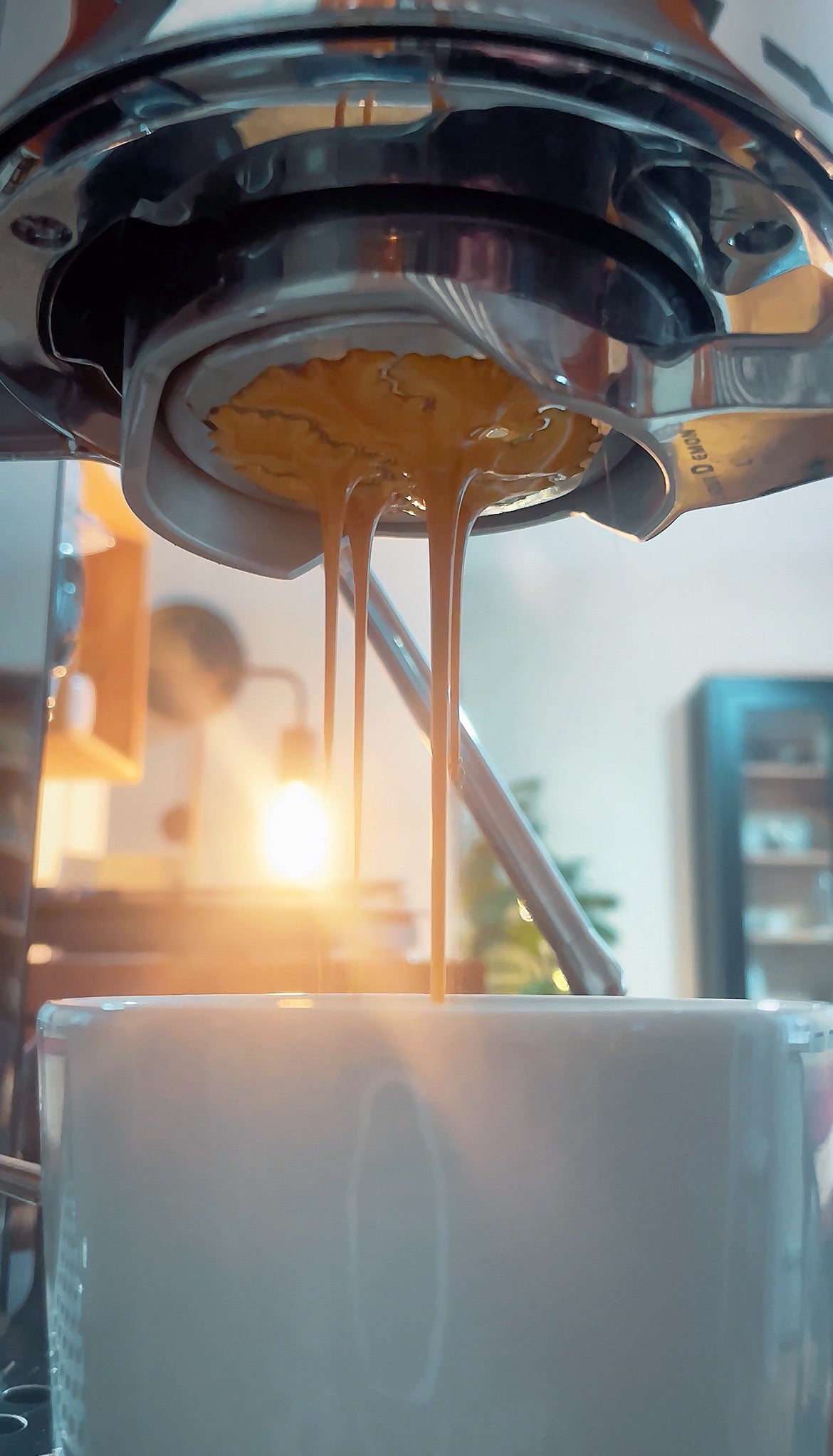 "Bossa Nova" Blend - Nicaragua (Light Roast)