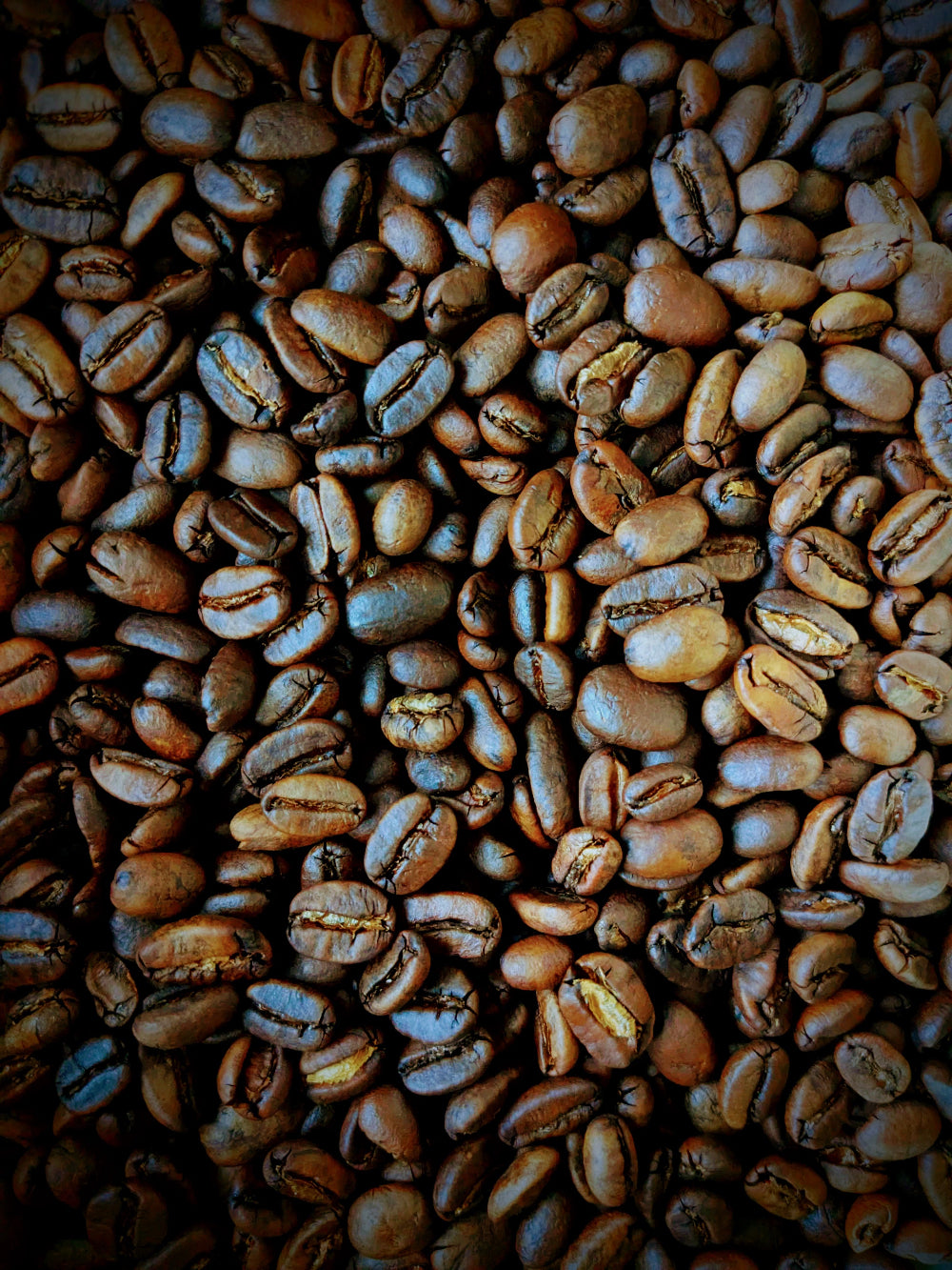 Close-up of roasted coffee beans with a dark background